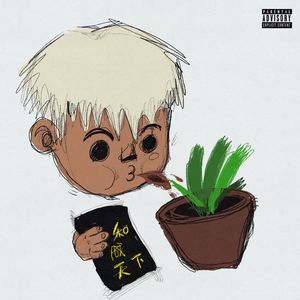 欧美视频在线观看免费观
