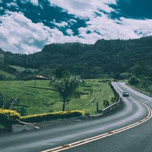 欧美视频在线观看免费观
