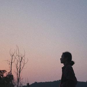 欧美视频在线观看免费观
